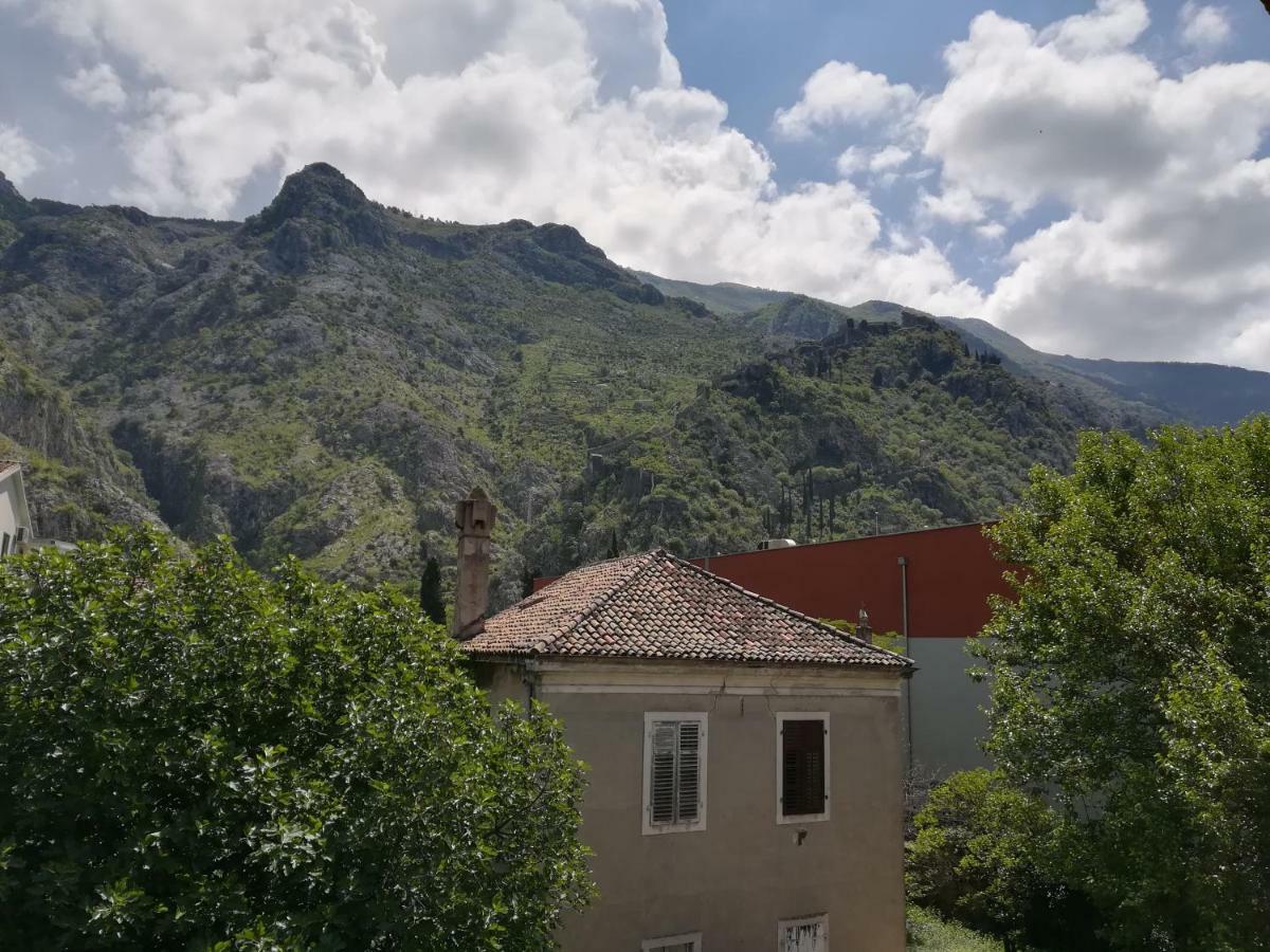 Apartment Nikolic Kotor Exterior photo